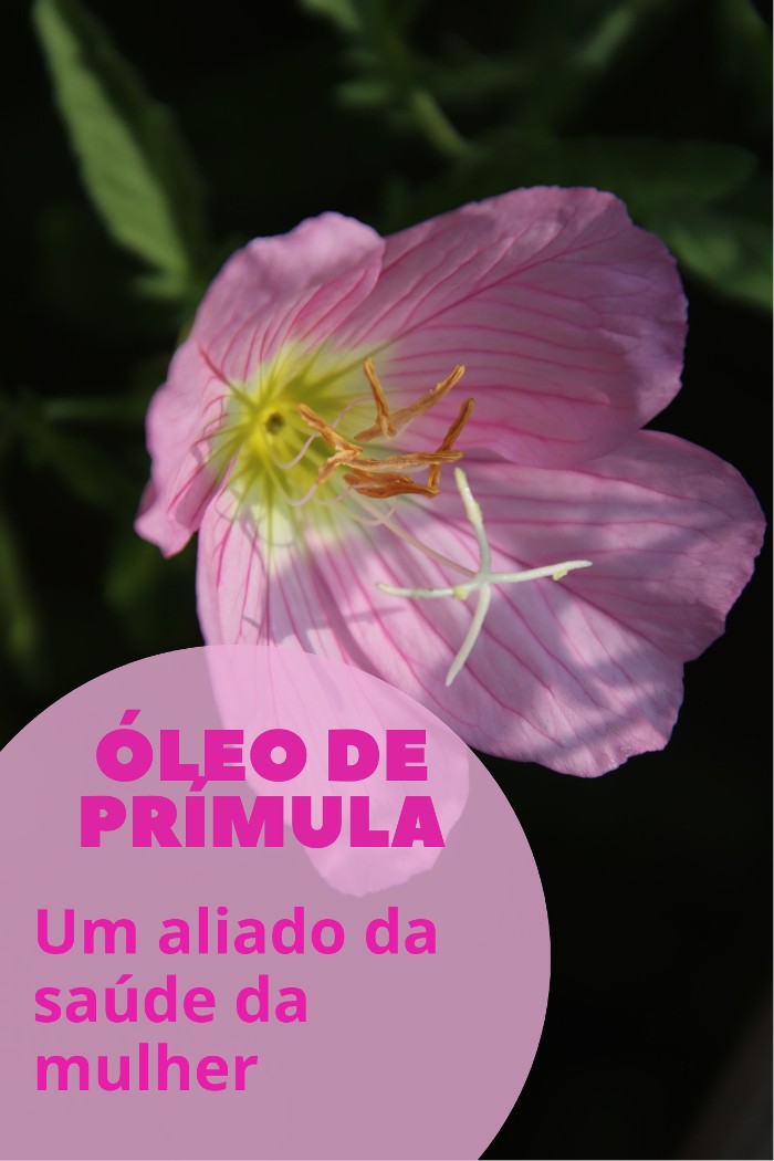 You are currently viewing Óleo de prímula: um aliado da saúde da mulher