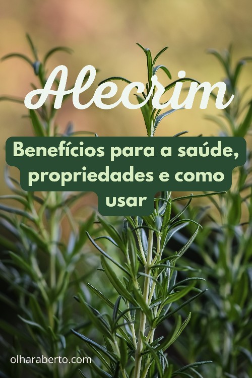 Read more about the article Alecrim: Um Aliado Aromático para a Saúde e o Bem-Estar