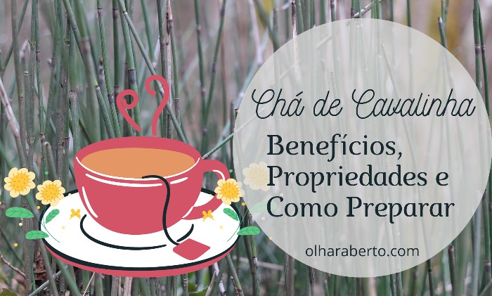 Read more about the article Chá de Cavalinha: Benefícios, Propriedades e Como Preparar