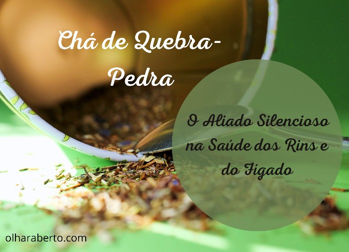 You are currently viewing Chá de Quebra-Pedra: O Aliado Silencioso na Saúde dos Rins e do Fígado