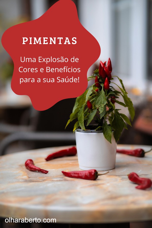 You are currently viewing Pimentas: Uma Explosão de Cores e Benefícios para a sua Saúde!