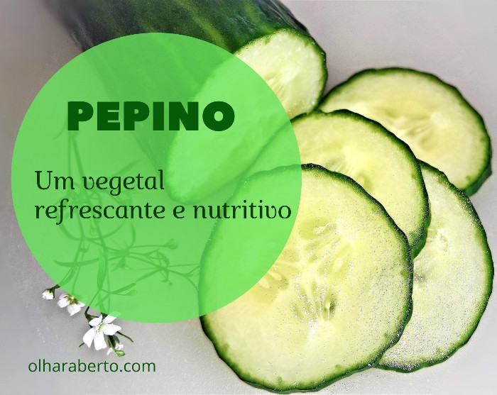 You are currently viewing Pepino: Um vegetal refrescante e nutritivo