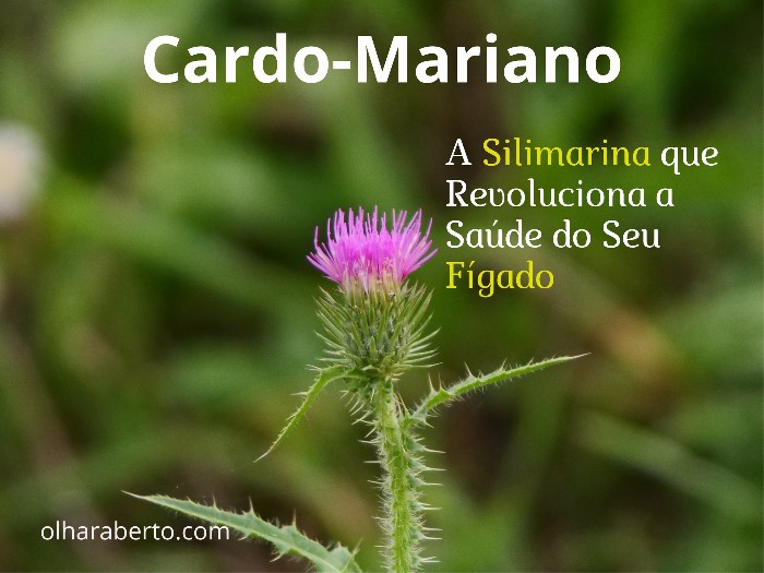Read more about the article Cardo-Mariano: A Silimarina que Revoluciona a Saúde do Seu Fígado
