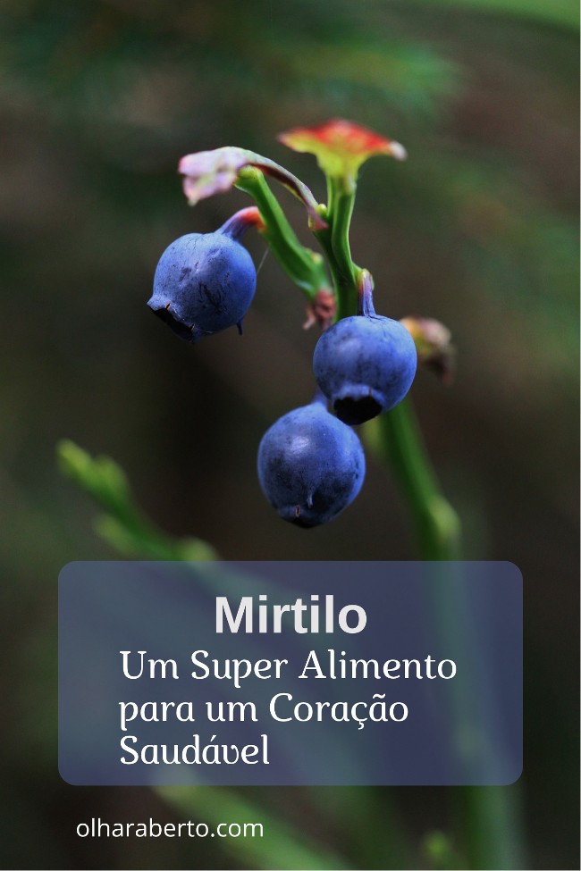 Read more about the article Mirtilo: Um Super Alimento para um Coração Saudável