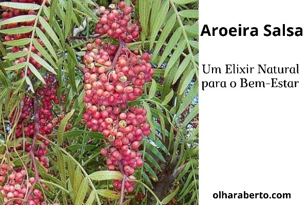 You are currently viewing Aroeira Salsa: Um Elixir Natural para o Bem-Estar