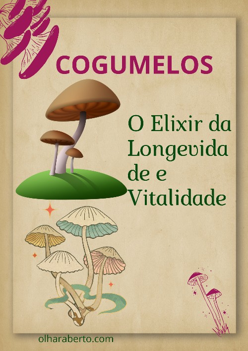Read more about the article Cogumelos: O Elixir da Longevidade e Vitalidade