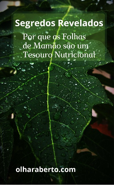 Read more about the article Segredos Revelados: Por que as Folhas de Mamão são um Tesouro Nutricional