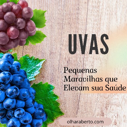 Read more about the article Uvas: Pequenas Maravilhas que Elevam sua Saúde