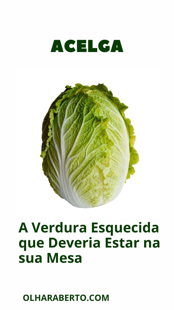 You are currently viewing Acelga: A Verdura Esquecida que Deveria Estar na sua Mesa