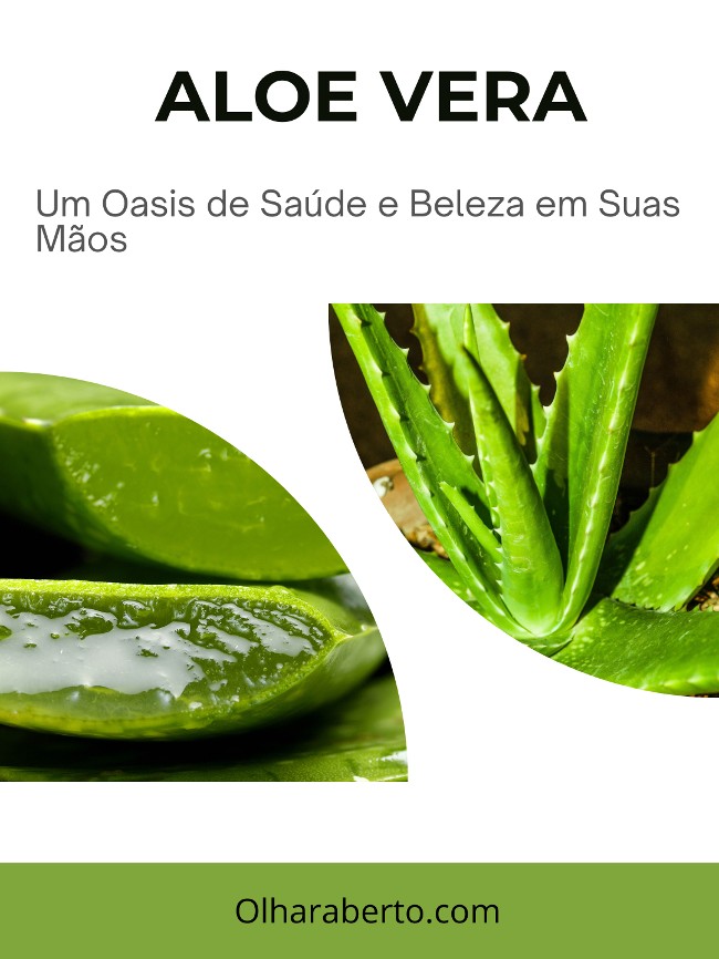 You are currently viewing Aloe Vera: Um Oasis de Saúde e Beleza em Suas Mãos