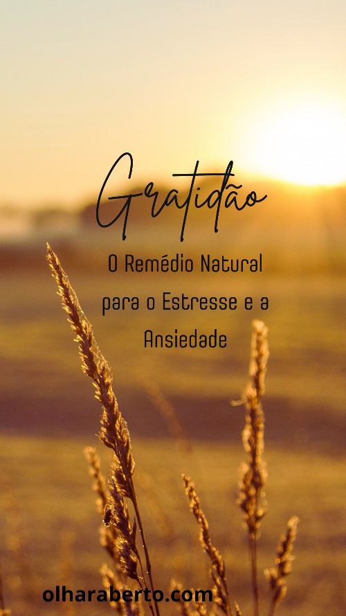 Read more about the article Gratidão: O Remédio Natural para o Estresse e a Ansiedade