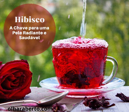 Read more about the article Hibisco: A Chave para uma Pele Radiante e Saudável