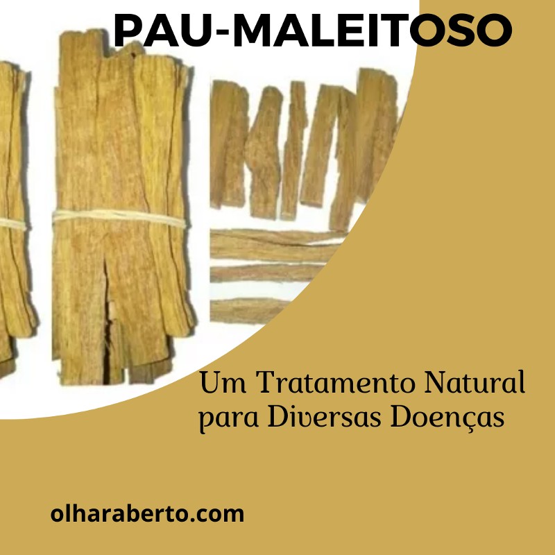 You are currently viewing Pau-Maleitoso: Um Tratamento Natural para Diversas Doenças