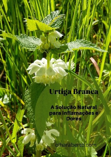 Read more about the article Urtiga Branca: A Solução Natural para Inflamações e Dores