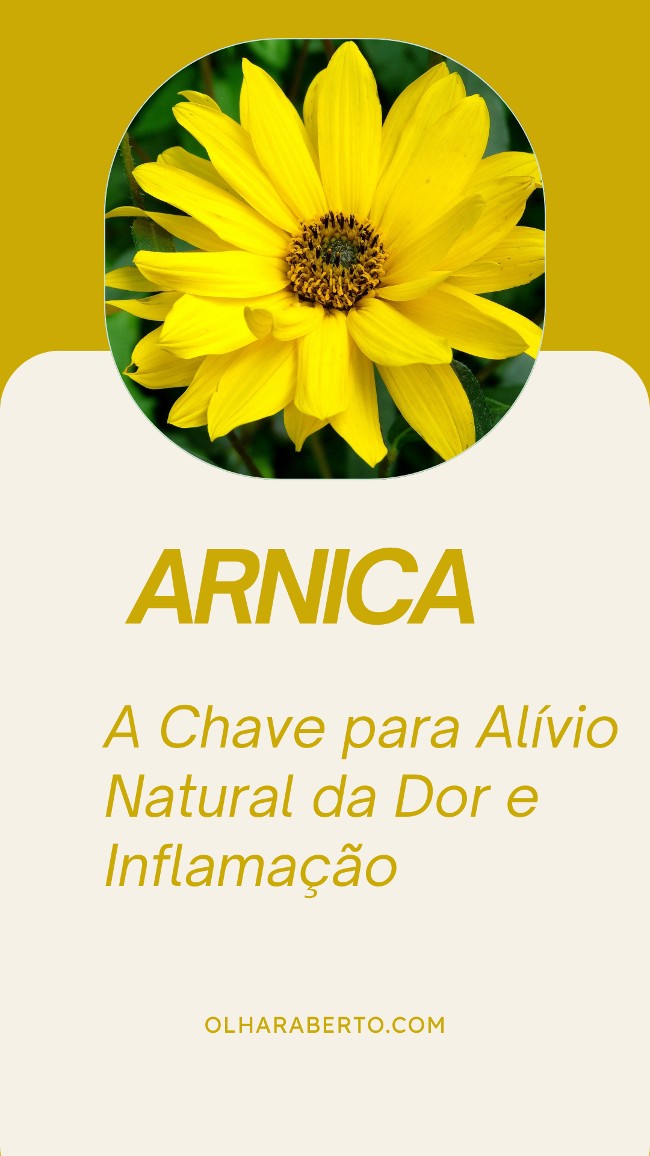 Read more about the article Arnica: A Chave para Alívio Natural da Dor e Inflamação