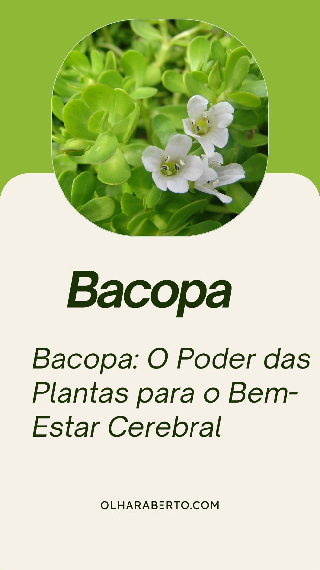 Read more about the article Bacopa: O Poder das Plantas para o Bem-Estar Cerebral