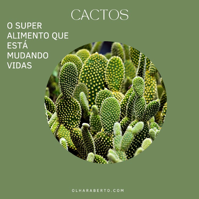 Read more about the article Cactos: O Super Alimento que Está Mudando Vidas