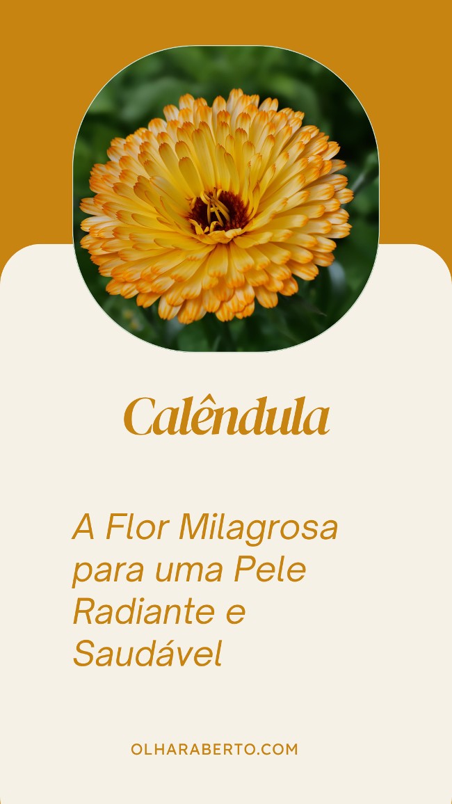 Read more about the article Calêndula: A Flor Milagrosa para uma Pele Radiante e Saudável