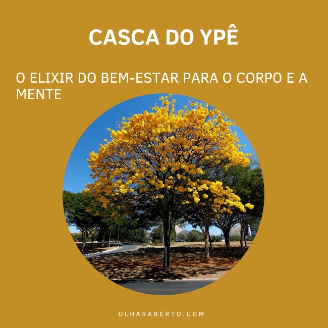 You are currently viewing Casca do Ypê: O Elixir do Bem-Estar para o Corpo e a Mente