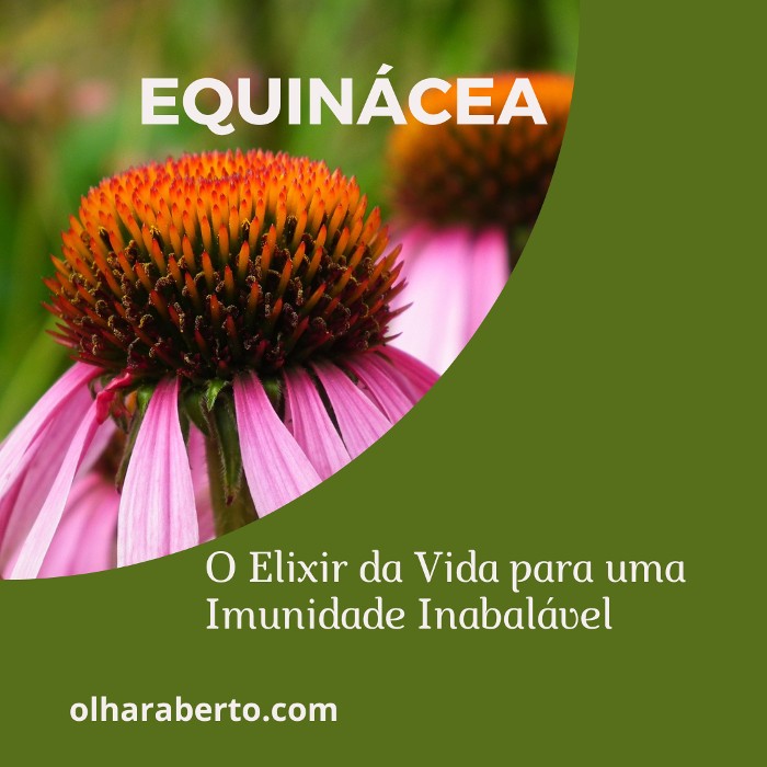 Read more about the article Equinácea: O Elixir da Vida para uma Imunidade Inabalável