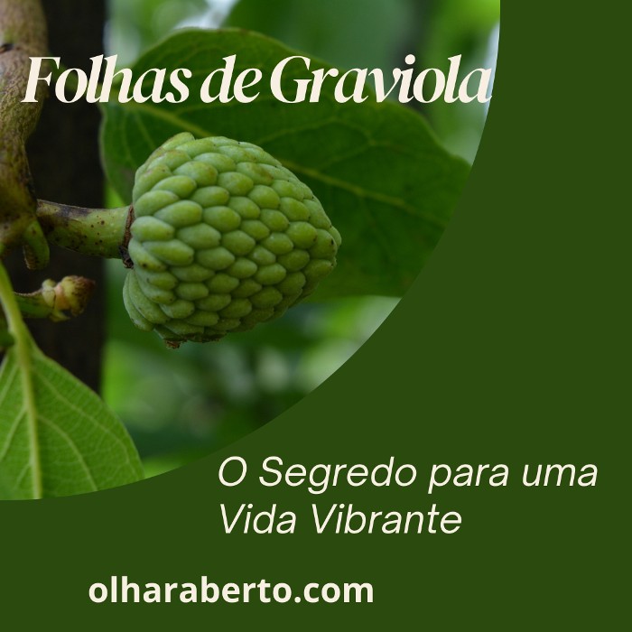 Read more about the article Folhas de Graviola: O Segredo para uma Vida Vibrante