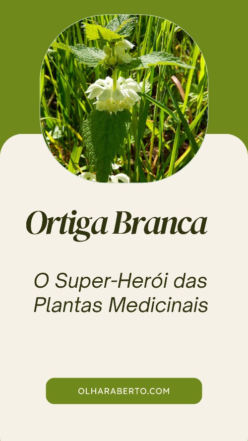 Read more about the article Ortiga Branca: O Super-Herói das Plantas Medicinais