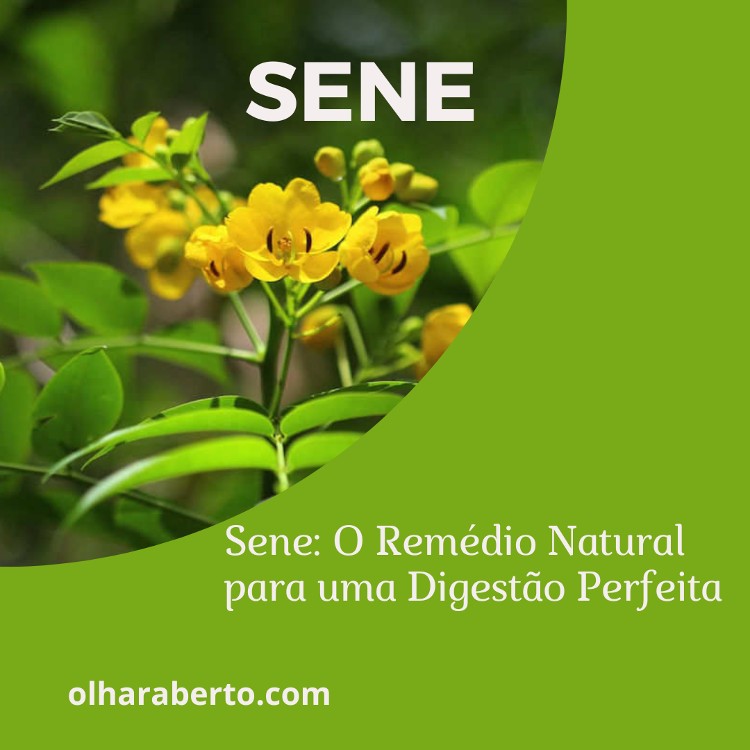 You are currently viewing Sene: O Remédio Natural para uma Digestão Perfeita