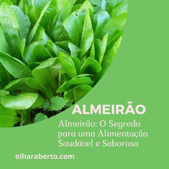 You are currently viewing Almeirão: O Segredo para uma Alimentação Saudável e Saborosa