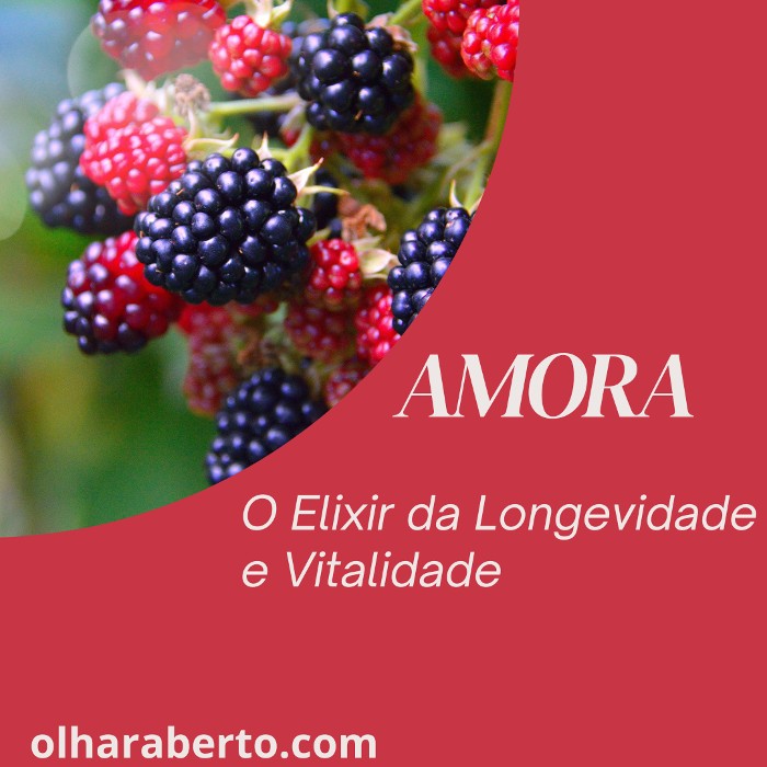 You are currently viewing Amora: O Elixir da Longevidade e Vitalidade