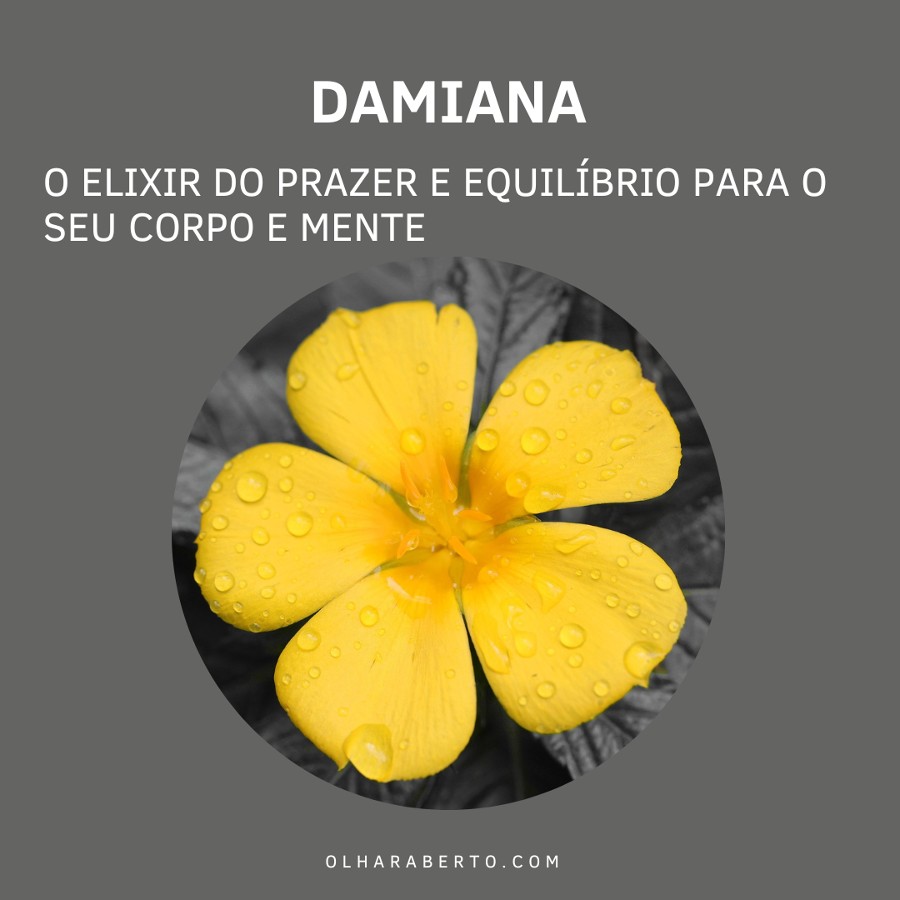You are currently viewing Damiana: O Elixir do Prazer e Equilíbrio para o Seu Corpo e Mente