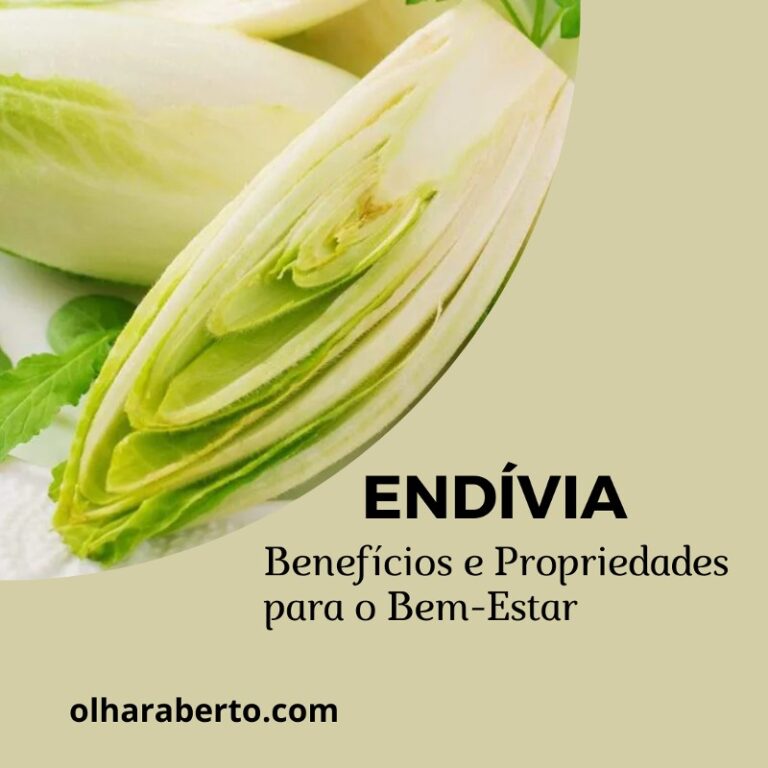 Read more about the article Endívia: Benefícios e Propriedades para o Bem-Estar