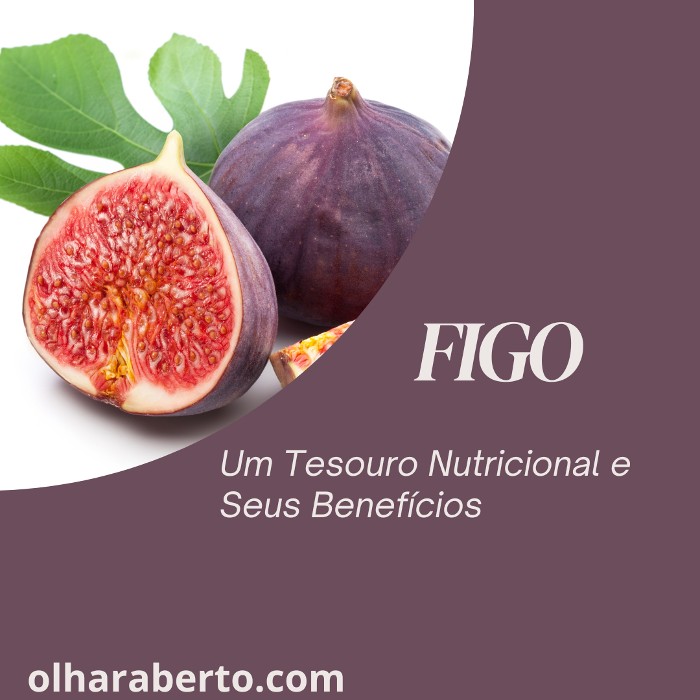 Read more about the article O Figo: Um Tesouro Nutricional e Seus Benefícios