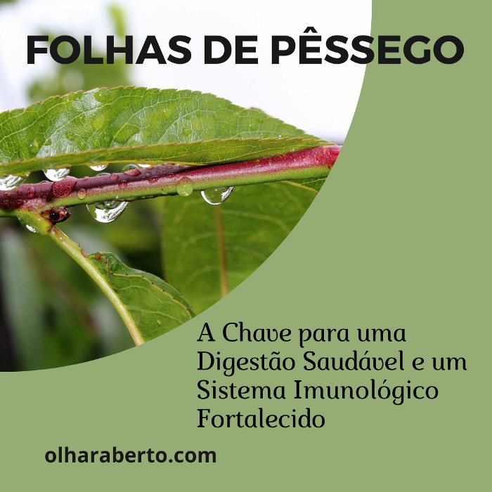 Read more about the article Folhas de Pêssego: A Chave para uma Digestão Saudável e um Sistema Imunológico Fortalecido