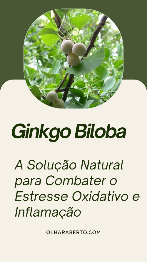 Read more about the article Ginkgo Biloba: A Solução Natural para Combater o Estresse Oxidativo e Inflamação