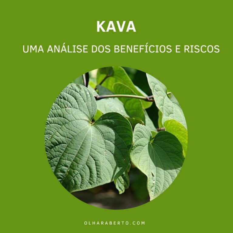 Read more about the article O Kava: Uma Análise dos Benefícios e Riscos