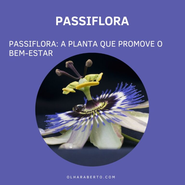 Read more about the article Passiflora: A Planta que Promove o Bem-Estar