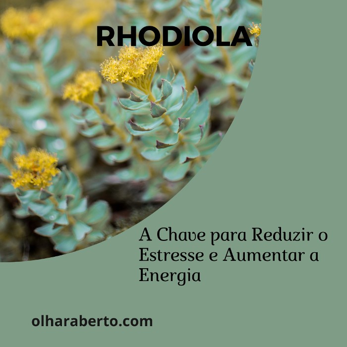 Read more about the article Rhodiola: A Chave para Reduzir o Estresse e Aumentar a Energia
