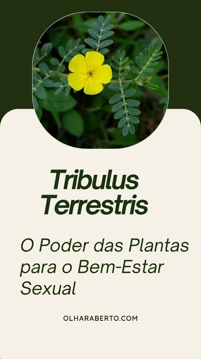 You are currently viewing Tribulus Terrestris: O Poder das Plantas para o Bem-Estar Sexual