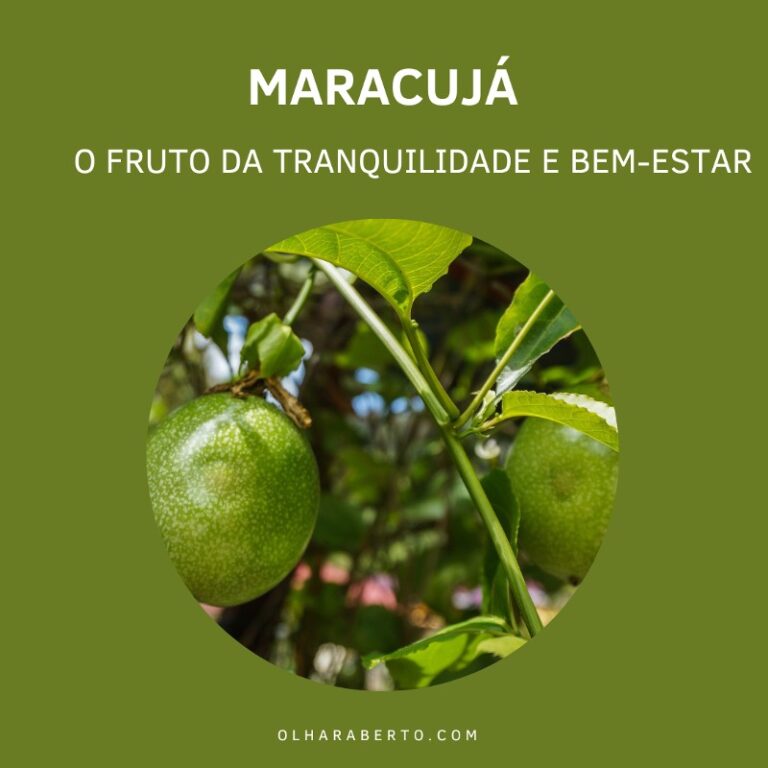 Read more about the article Maracujá: O Fruto da Tranquilidade e Bem-Estar