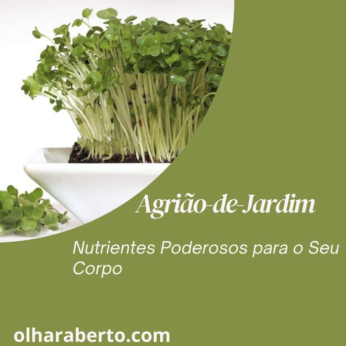 Read more about the article Agrião-de-Jardim: Nutrientes Poderosos para o Seu Corpo