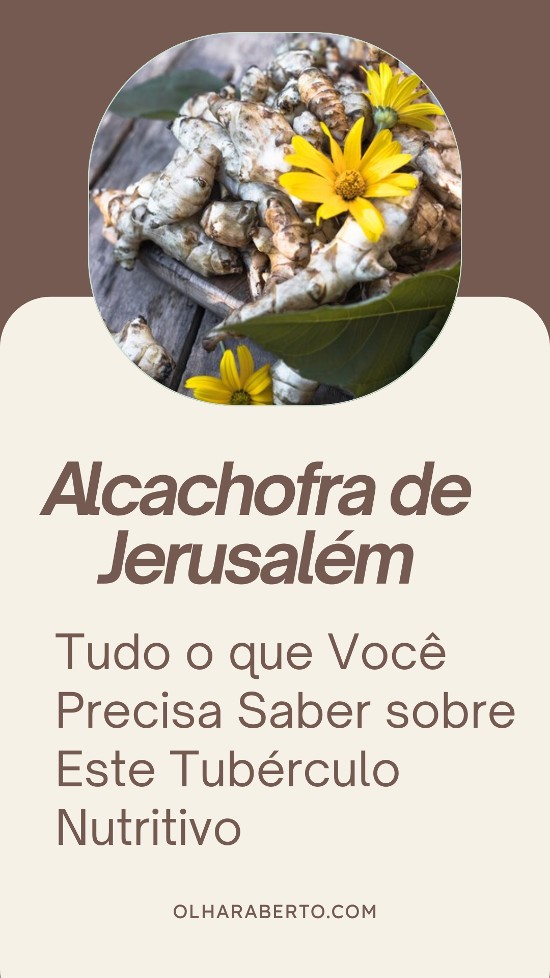 Read more about the article Alcachofra de Jerusalém: Tudo o que Você Precisa Saber sobre Este Tubérculo Nutritivo