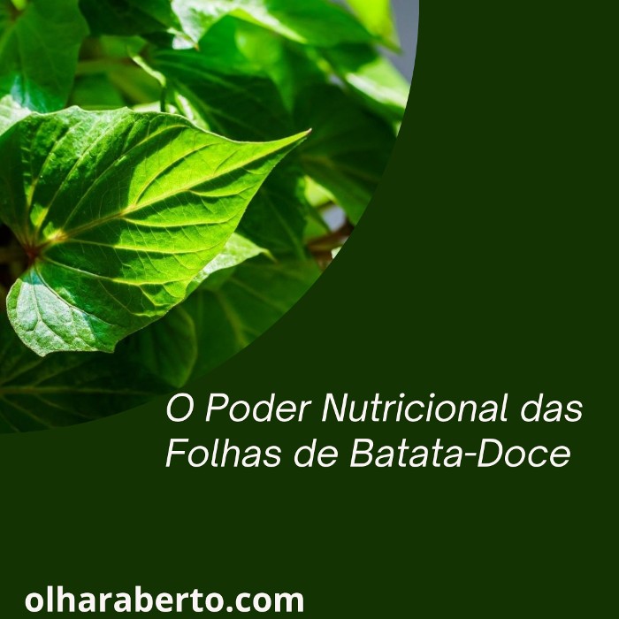 Read more about the article O Poder Nutricional das Folhas de Batata-Doce