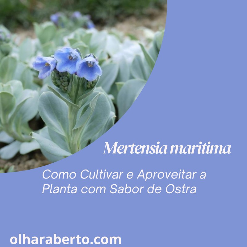 You are currently viewing Mertensia maritima: Como Cultivar e Aproveitar a Planta com Sabor de Ostra