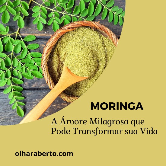 Read more about the article Moringa: A Árvore Milagrosa que Pode Transformar sua Vida