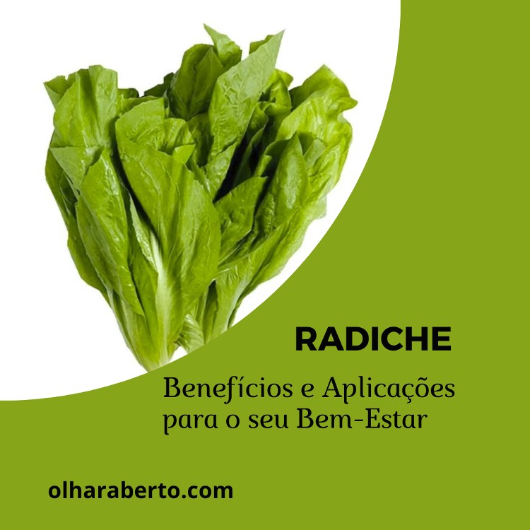 Read more about the article Radiche: Benefícios e Aplicações para o seu Bem-Estar