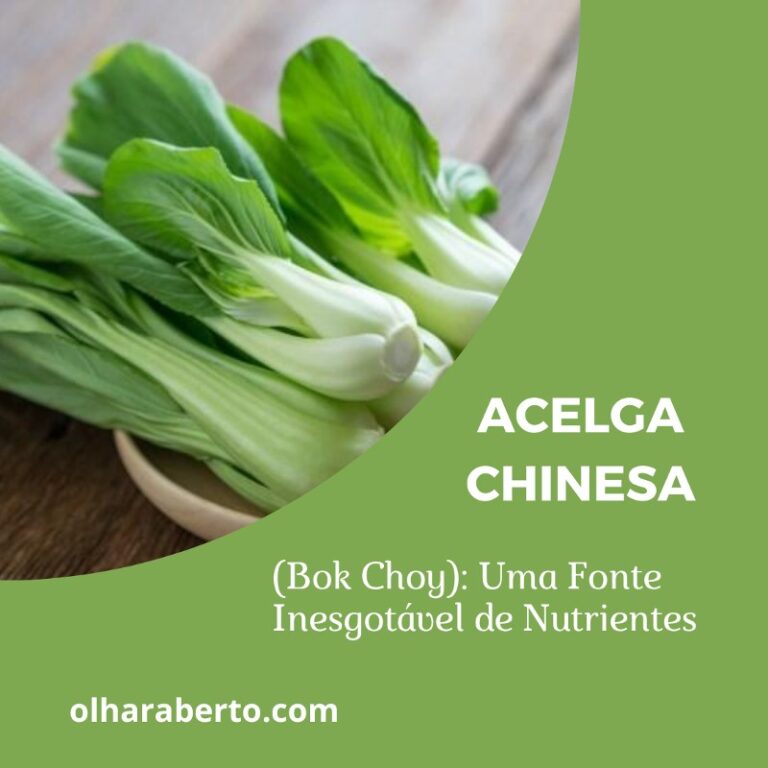 Read more about the article Acelga Chinesa (Bok Choy): Uma Fonte Inesgotável de Nutrientes