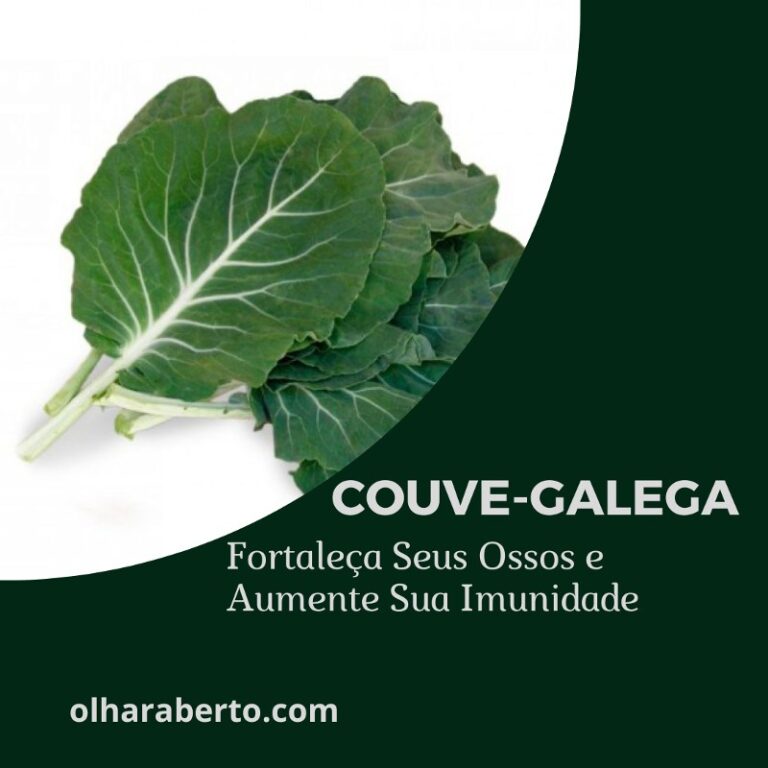 Read more about the article Couve-galega: Fortaleça Seus Ossos e Aumente Sua Imunidade