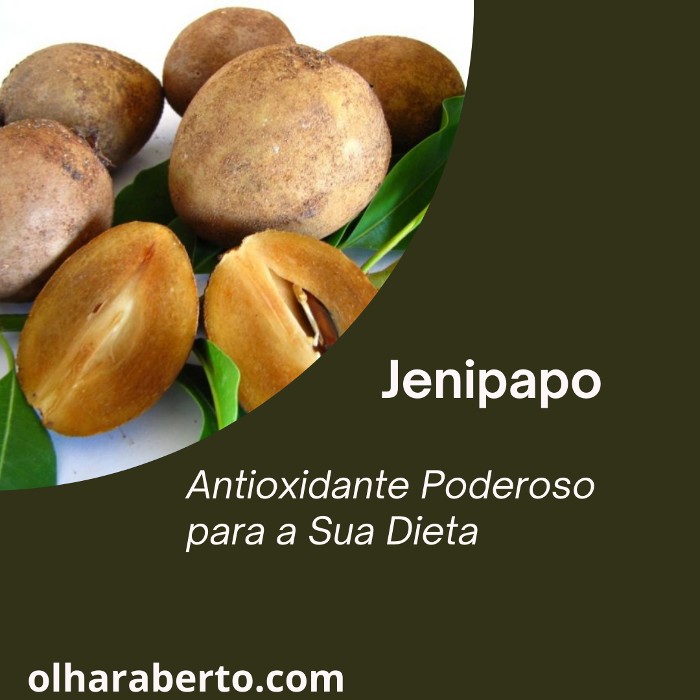 Read more about the article Jenipapo: Antioxidante Poderoso para a Sua Dieta