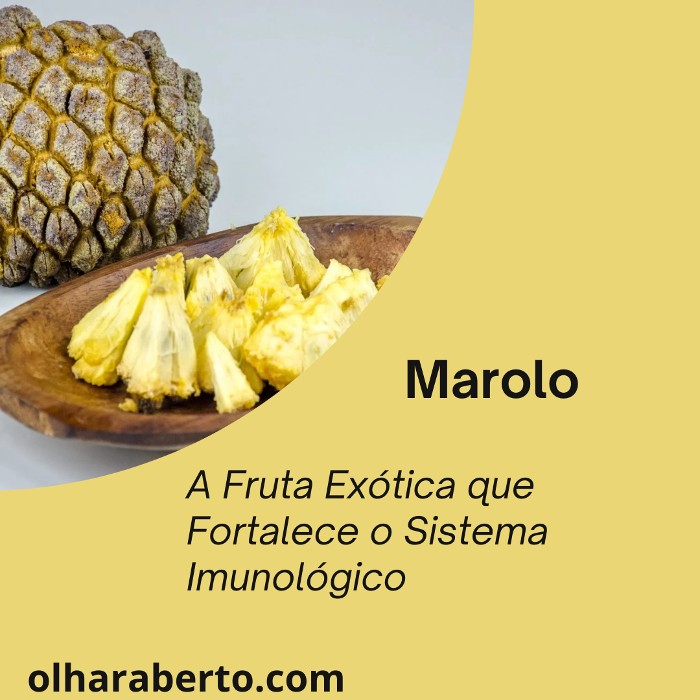 Read more about the article Marolo: A Fruta Exótica que Fortalece o Sistema Imunológico