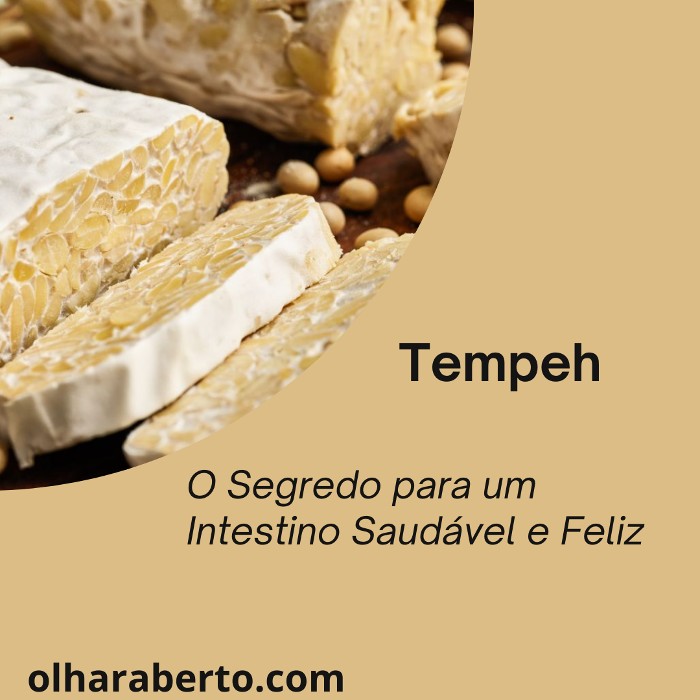 You are currently viewing Tempeh: O Segredo para um Intestino Saudável e Feliz